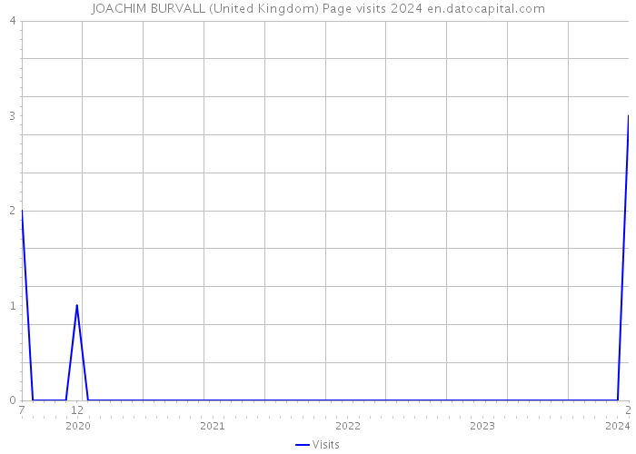 JOACHIM BURVALL (United Kingdom) Page visits 2024 