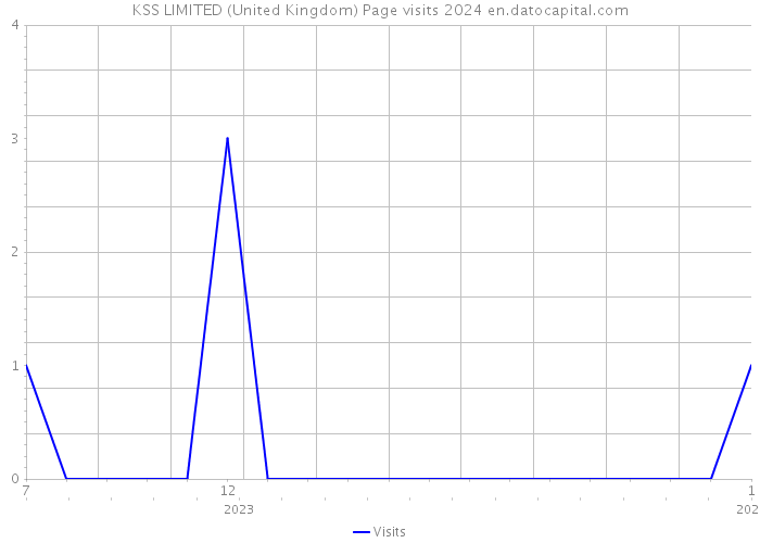 KSS LIMITED (United Kingdom) Page visits 2024 