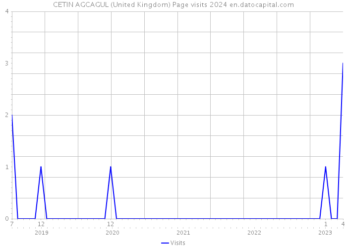 CETIN AGCAGUL (United Kingdom) Page visits 2024 