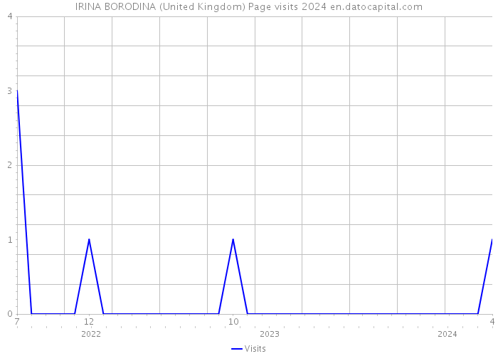 IRINA BORODINA (United Kingdom) Page visits 2024 