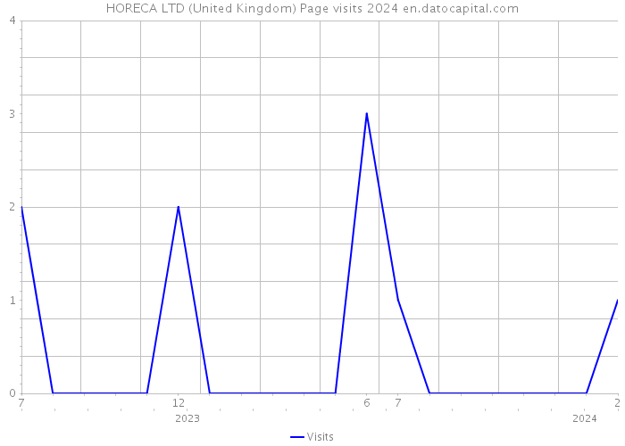 HORECA LTD (United Kingdom) Page visits 2024 