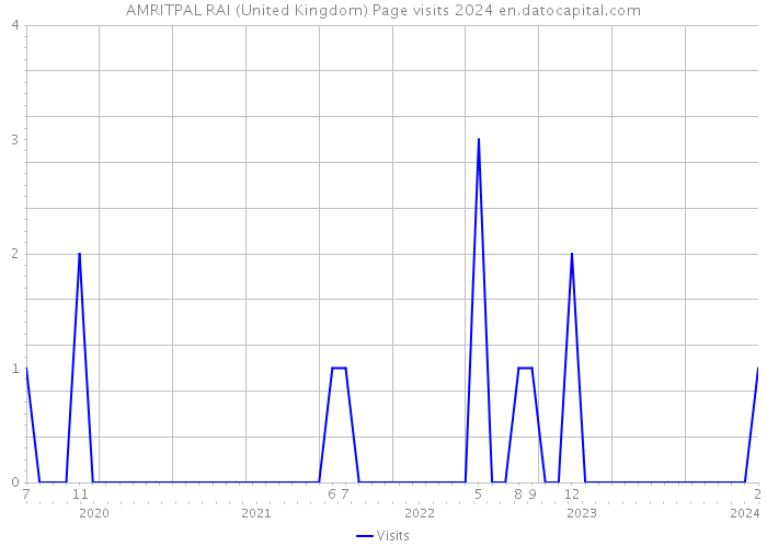 AMRITPAL RAI (United Kingdom) Page visits 2024 