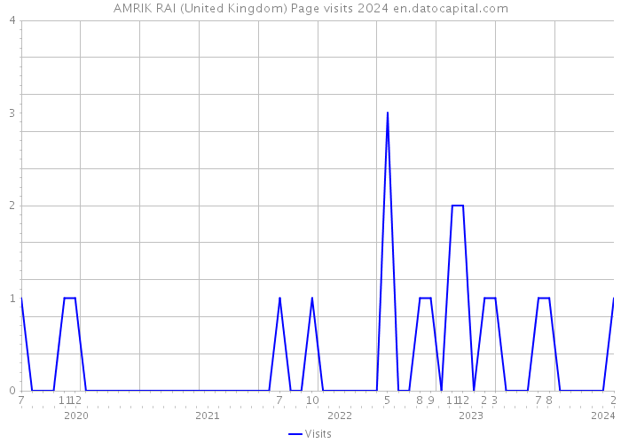 AMRIK RAI (United Kingdom) Page visits 2024 