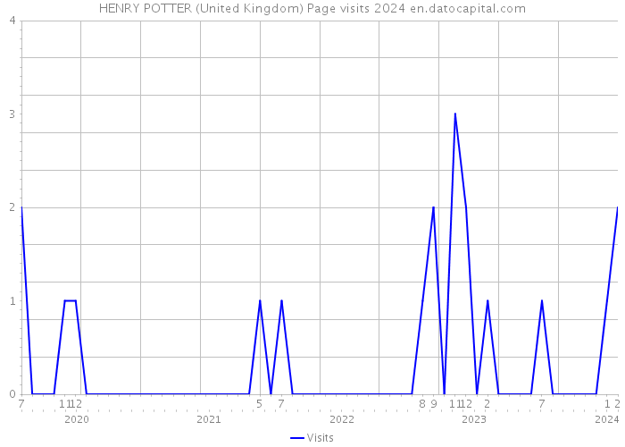 HENRY POTTER (United Kingdom) Page visits 2024 