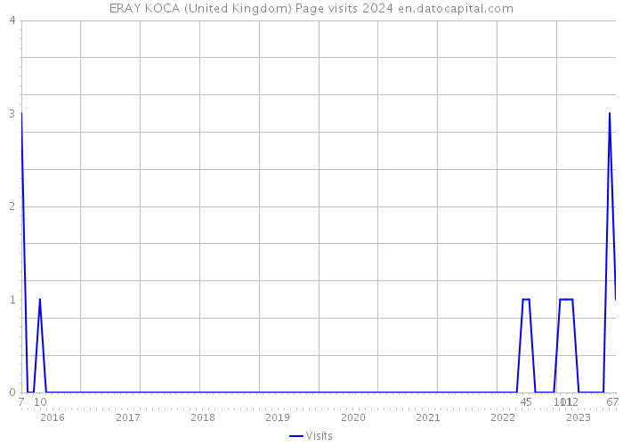ERAY KOCA (United Kingdom) Page visits 2024 