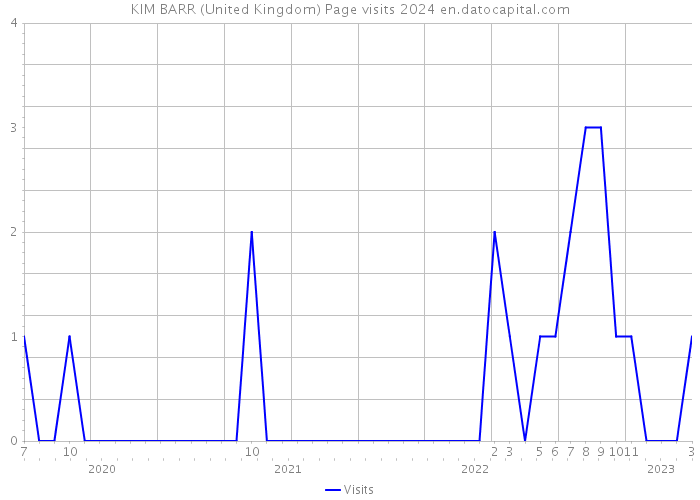 KIM BARR (United Kingdom) Page visits 2024 
