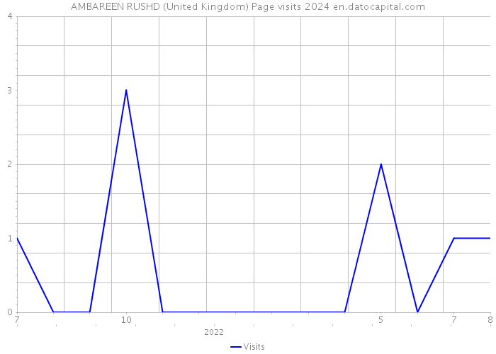 AMBAREEN RUSHD (United Kingdom) Page visits 2024 