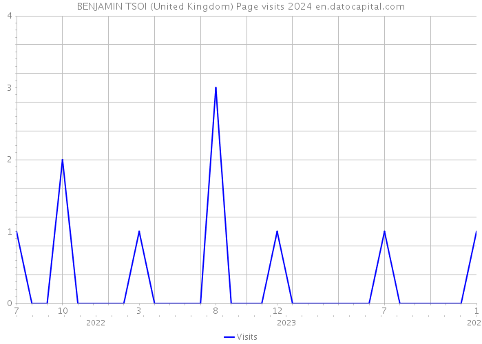 BENJAMIN TSOI (United Kingdom) Page visits 2024 