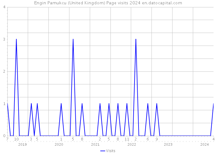 Engin Pamukcu (United Kingdom) Page visits 2024 