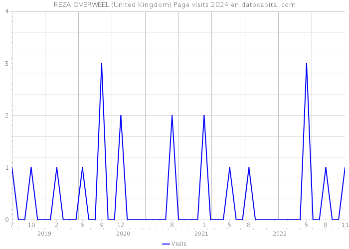 REZA OVERWEEL (United Kingdom) Page visits 2024 