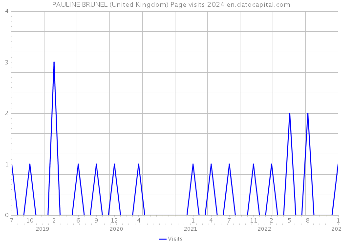 PAULINE BRUNEL (United Kingdom) Page visits 2024 