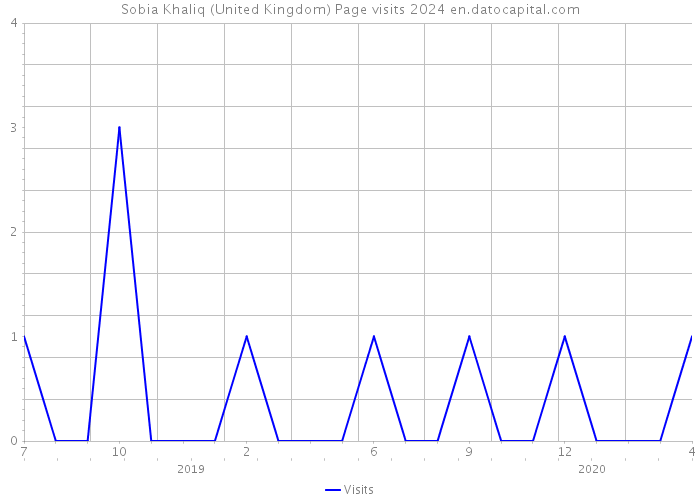 Sobia Khaliq (United Kingdom) Page visits 2024 