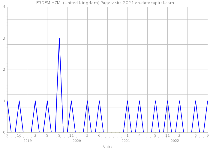 ERDEM AZMI (United Kingdom) Page visits 2024 