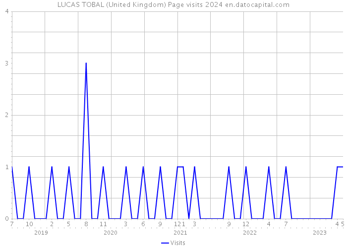 LUCAS TOBAL (United Kingdom) Page visits 2024 