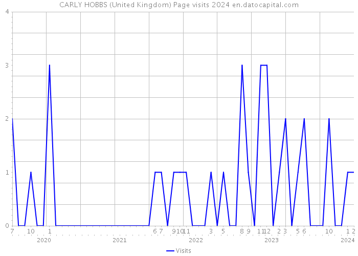 CARLY HOBBS (United Kingdom) Page visits 2024 