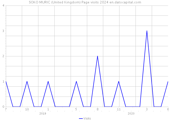 SOKO MURIC (United Kingdom) Page visits 2024 