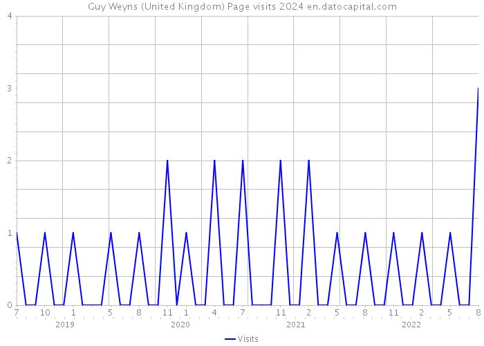 Guy Weyns (United Kingdom) Page visits 2024 