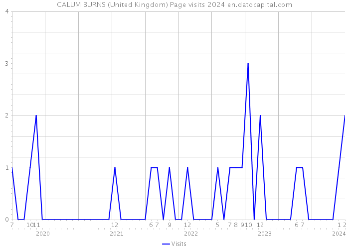 CALUM BURNS (United Kingdom) Page visits 2024 