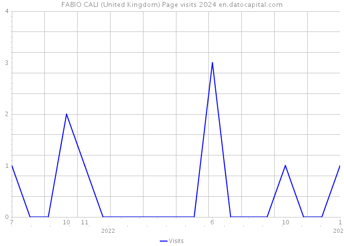 FABIO CALI (United Kingdom) Page visits 2024 