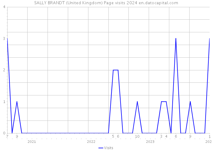 SALLY BRANDT (United Kingdom) Page visits 2024 