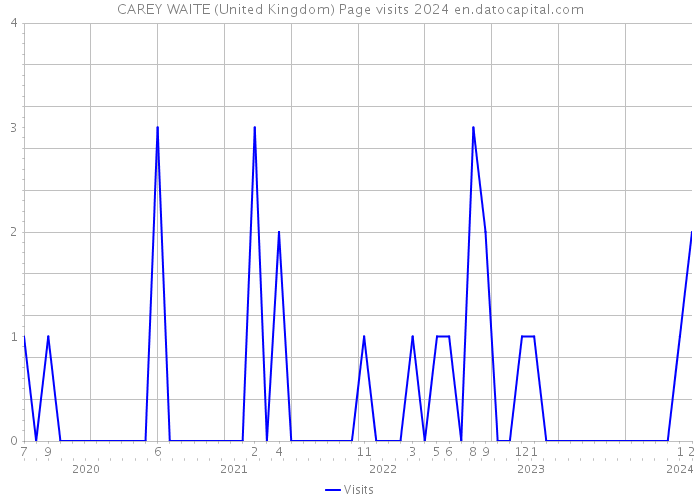 CAREY WAITE (United Kingdom) Page visits 2024 