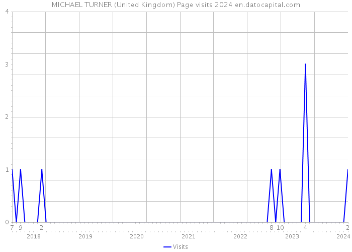 MICHAEL TURNER (United Kingdom) Page visits 2024 