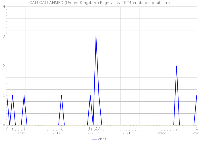 CALI CALI AHMED (United Kingdom) Page visits 2024 