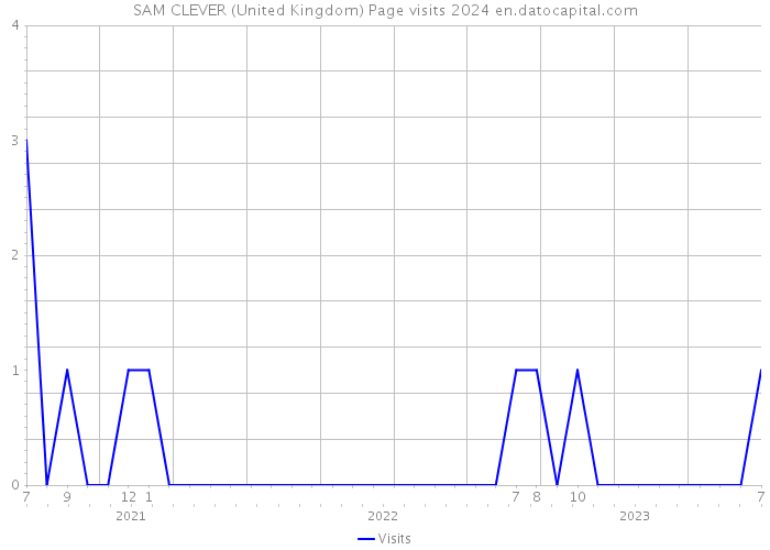 SAM CLEVER (United Kingdom) Page visits 2024 
