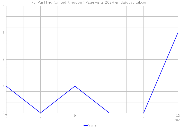 Pui Pui Hing (United Kingdom) Page visits 2024 