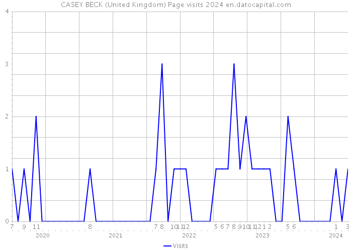 CASEY BECK (United Kingdom) Page visits 2024 