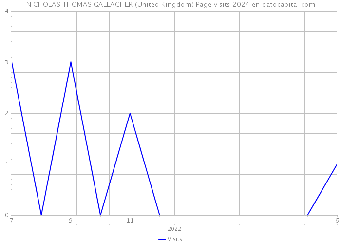 NICHOLAS THOMAS GALLAGHER (United Kingdom) Page visits 2024 