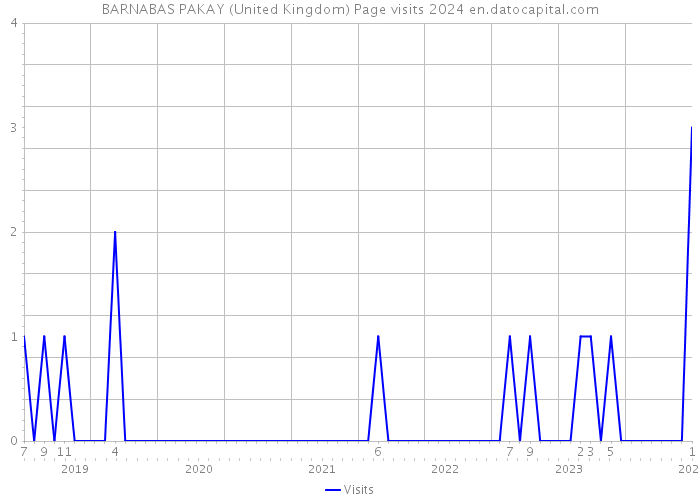 BARNABAS PAKAY (United Kingdom) Page visits 2024 