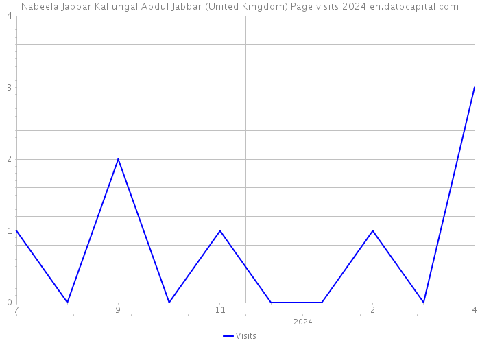 Nabeela Jabbar Kallungal Abdul Jabbar (United Kingdom) Page visits 2024 