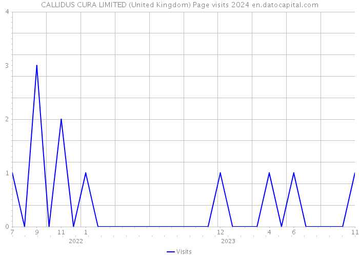 CALLIDUS CURA LIMITED (United Kingdom) Page visits 2024 