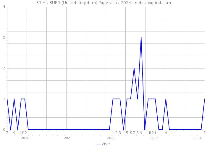 BRIAN BURR (United Kingdom) Page visits 2024 