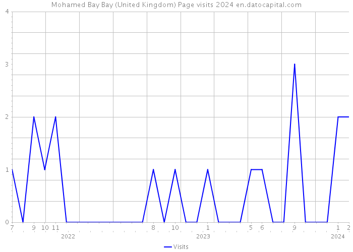 Mohamed Bay Bay (United Kingdom) Page visits 2024 