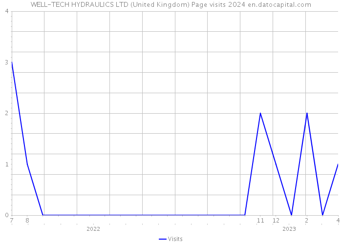WELL-TECH HYDRAULICS LTD (United Kingdom) Page visits 2024 