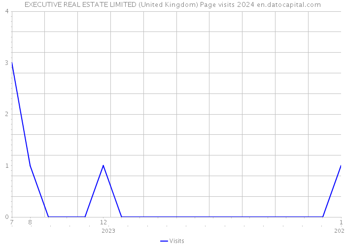 EXECUTIVE REAL ESTATE LIMITED (United Kingdom) Page visits 2024 