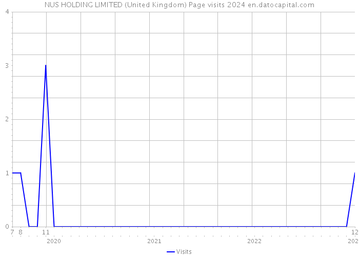 NUS HOLDING LIMITED (United Kingdom) Page visits 2024 