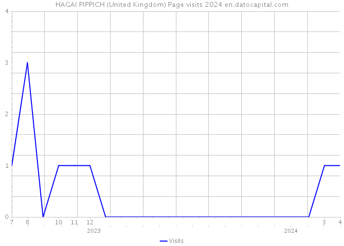 HAGAI PIPPICH (United Kingdom) Page visits 2024 