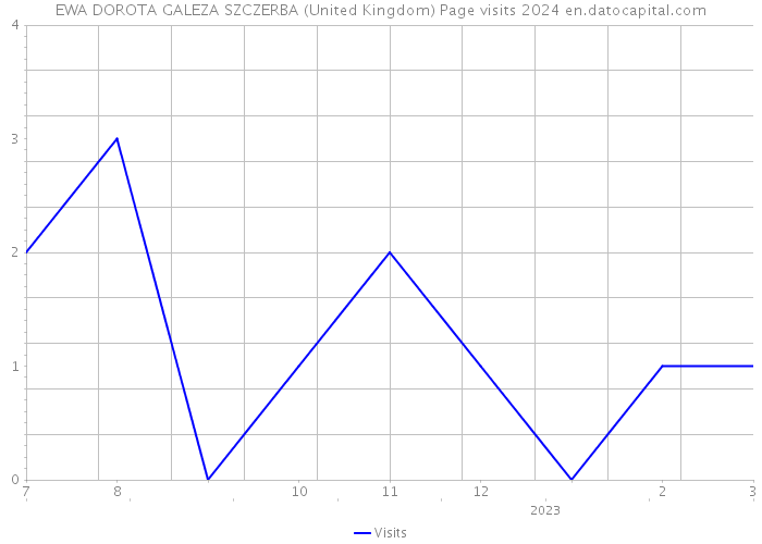 EWA DOROTA GALEZA SZCZERBA (United Kingdom) Page visits 2024 