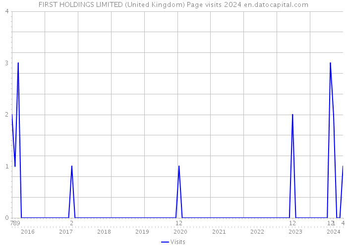 FIRST HOLDINGS LIMITED (United Kingdom) Page visits 2024 