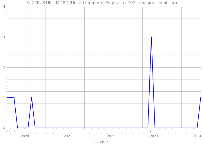 BUCYRUS UK LIMITED (United Kingdom) Page visits 2024 