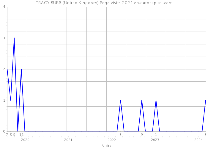 TRACY BURR (United Kingdom) Page visits 2024 