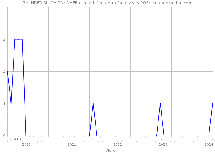 RAJINDER SINGH PANDHER (United Kingdom) Page visits 2024 