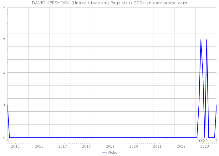 DAVID KERSHOOK (United Kingdom) Page visits 2024 