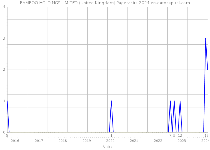 BAMBOO HOLDINGS LIMITED (United Kingdom) Page visits 2024 