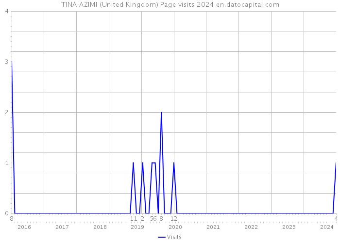 TINA AZIMI (United Kingdom) Page visits 2024 