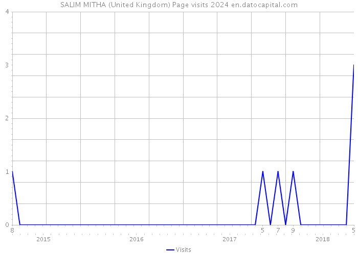 SALIM MITHA (United Kingdom) Page visits 2024 