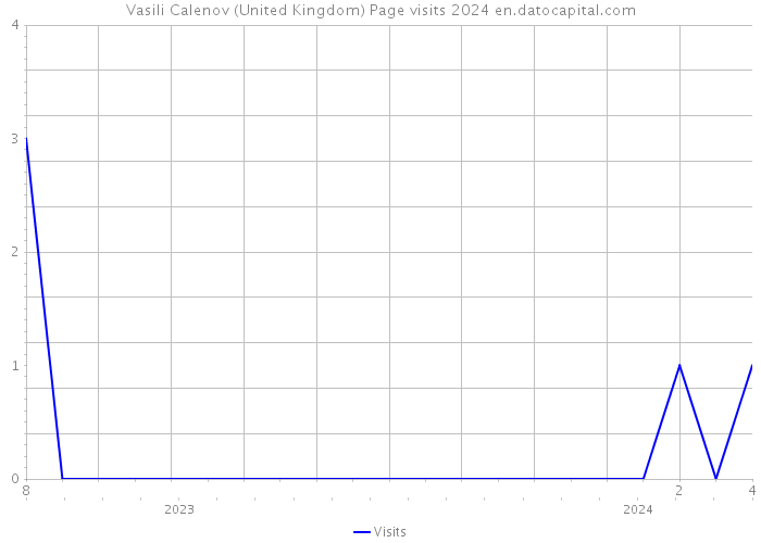Vasili Calenov (United Kingdom) Page visits 2024 
